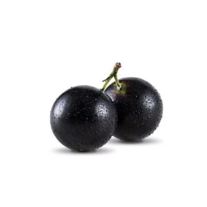 Jabuticaba