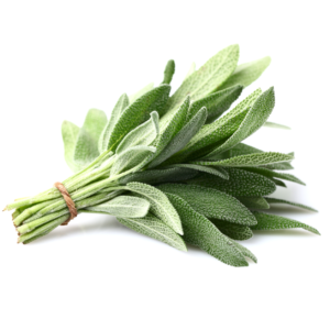 Sálvia 100g
