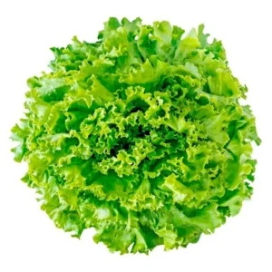 Alface Crespa 200g