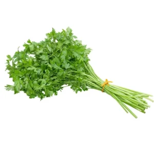 Salsa 100g